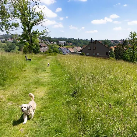 Harzer Leidenschaft Bis 2 Hunde Willkommen Lage Dtv 5 Sterne 3 Pfoten شقة سانكت اندرياسبرغ