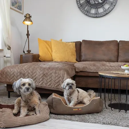 Harzer Leidenschaft Bis 2 Hunde Willkommen Lage Dtv 5 Sterne 3 Pfoten
