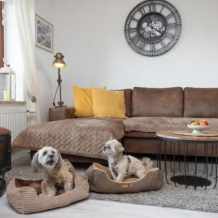 Harzer Leidenschaft Bis 2 Hunde Willkommen Lage Dtv 5 Sterne 3 Pfoten