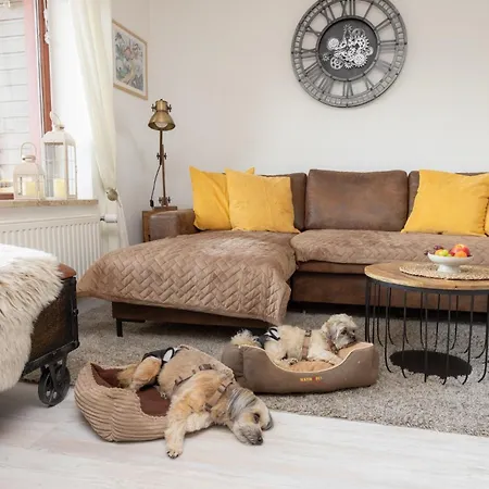 Harzer Leidenschaft Bis 2 Hunde Willkommen Lage Dtv 5 Sterne 3 Pfoten *