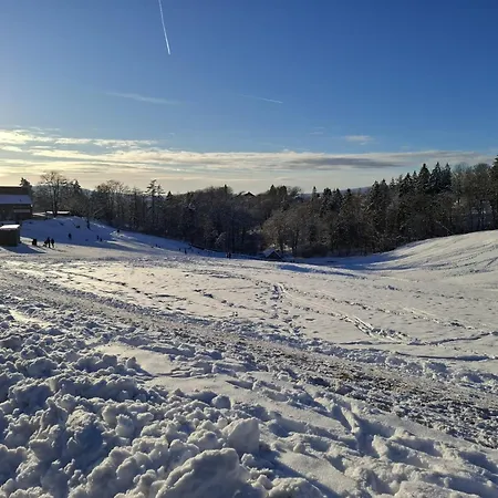 شقة Harzer Leidenschaft Bis 2 Hunde Willkommen Lage Dtv 5 Sterne 3 Pfoten *