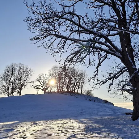 Harzer Leidenschaft Bis 2 Hunde Willkommen Lage Dtv 5 Sterne 3 Pfoten Sankt Andreasberg