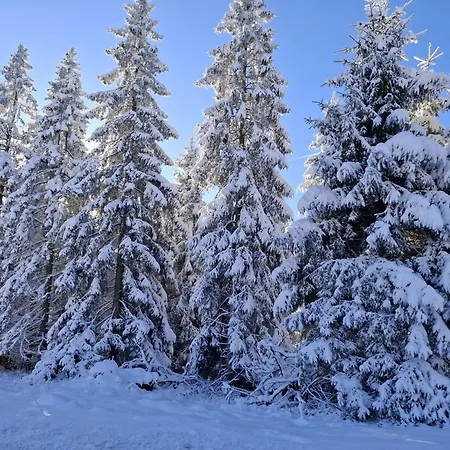 Harzer Leidenschaft Bis 2 Hunde Willkommen Lage Dtv 5 Sterne 3 Pfoten شقة *