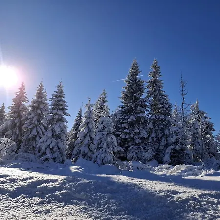 Apartamento Harzer Leidenschaft Bis 2 Hunde Willkommen Lage Dtv 5 Sterne 3 Pfoten Sankt Andreasberg