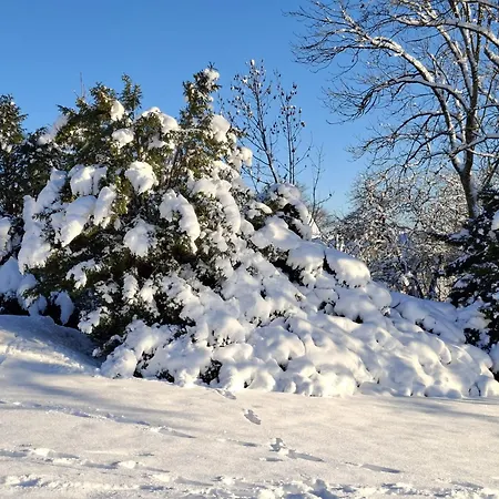 Harzer Leidenschaft Bis 2 Hunde Willkommen Lage Dtv 5 Sterne 3 Pfoten