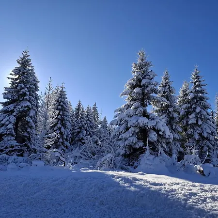 Harzer Leidenschaft Bis 2 Hunde Willkommen Lage Dtv 5 Sterne 3 Pfoten شقة