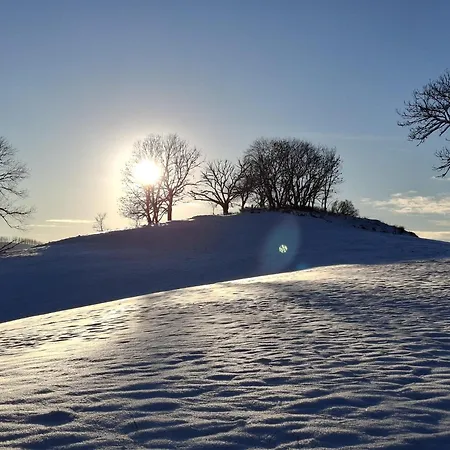 شقة Harzer Leidenschaft Bis 2 Hunde Willkommen Lage Dtv 5 Sterne 3 Pfoten
