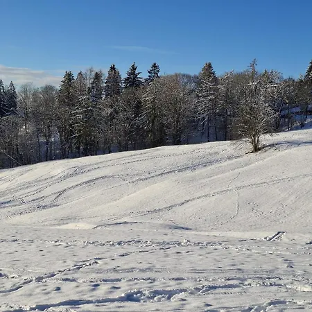 Harzer Leidenschaft Bis 2 Hunde Willkommen Lage Dtv 5 Sterne 3 Pfoten *
