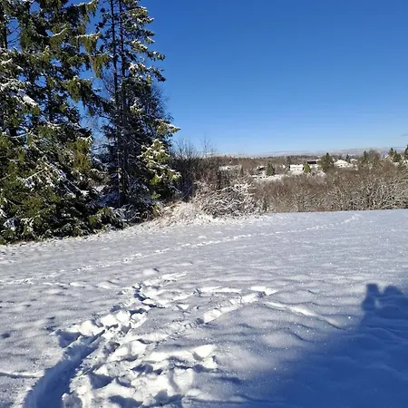 Harzer Leidenschaft Bis 2 Hunde Willkommen Lage Dtv 5 Sterne 3 Pfoten * سانكت اندرياسبرغ
