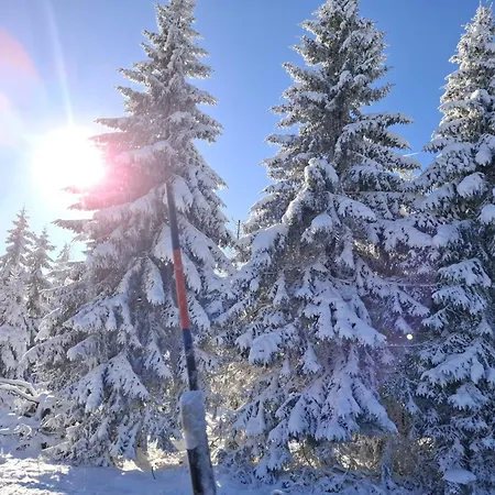 Harzer Leidenschaft Bis 2 Hunde Willkommen Lage Dtv 5 Sterne 3 Pfoten