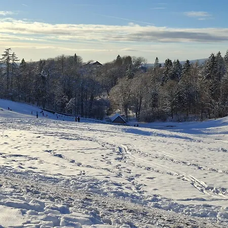 Harzer Leidenschaft Bis 2 Hunde Willkommen Lage Dtv 5 Sterne 3 Pfoten شقة
