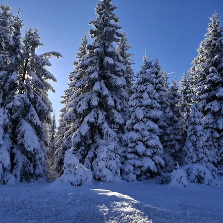 Harzer Leidenschaft Bis 2 Hunde Willkommen Lage Dtv 5 Sterne 3 Pfoten شقة *