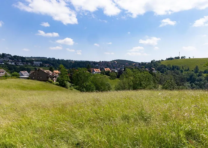 公寓 Harzer Leidenschaft Bis 2 Hunde Willkommen Lage Dtv 5 Sterne 3 Pfoten 圣安德里斯伯格