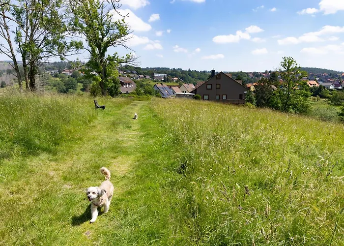 Harzer Leidenschaft Bis 2 Hunde Willkommen Lage Dtv 5 Sterne 3 Pfoten 公寓 圣安德里斯伯格