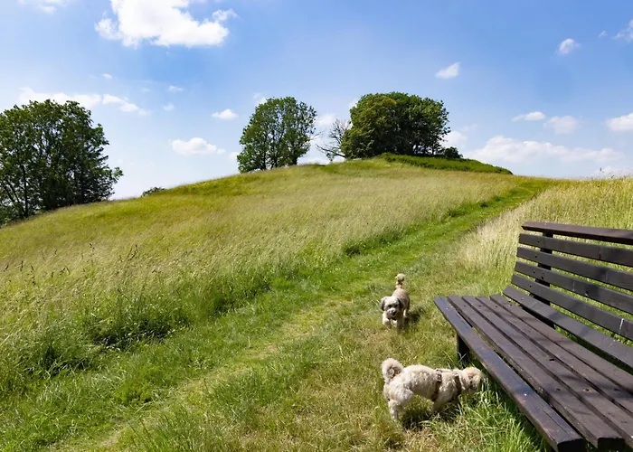 Harzer Leidenschaft Bis 2 Hunde Willkommen Lage Dtv 5 Sterne 3 Pfoten * 圣安德里斯伯格