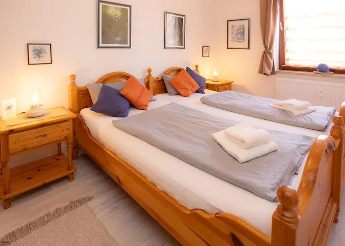 Harzer Leidenschaft Bis 2 Hunde Willkommen Lage Dtv 5 Sterne 3 Pfoten 圣安德里斯伯格