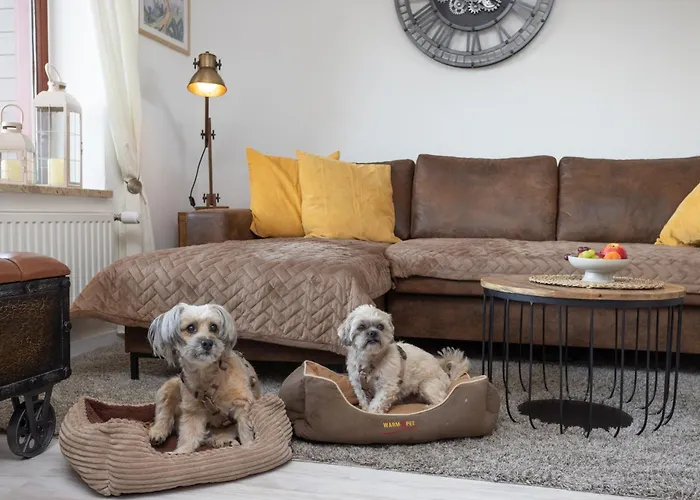 Harzer Leidenschaft Bis 2 Hunde Willkommen Lage Dtv 5 Sterne 3 Pfoten