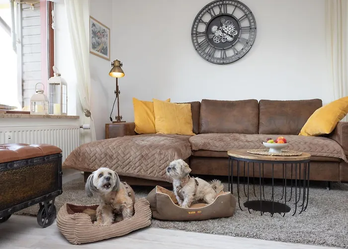 Harzer Leidenschaft Bis 2 Hunde Willkommen Lage Dtv 5 Sterne 3 Pfoten