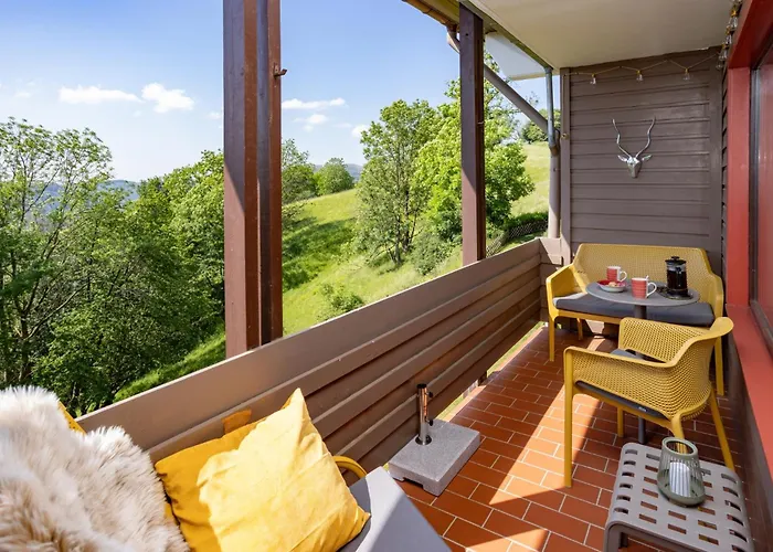 Harzer Leidenschaft Bis 2 Hunde Willkommen Lage Dtv 5 Sterne 3 Pfoten 公寓 *