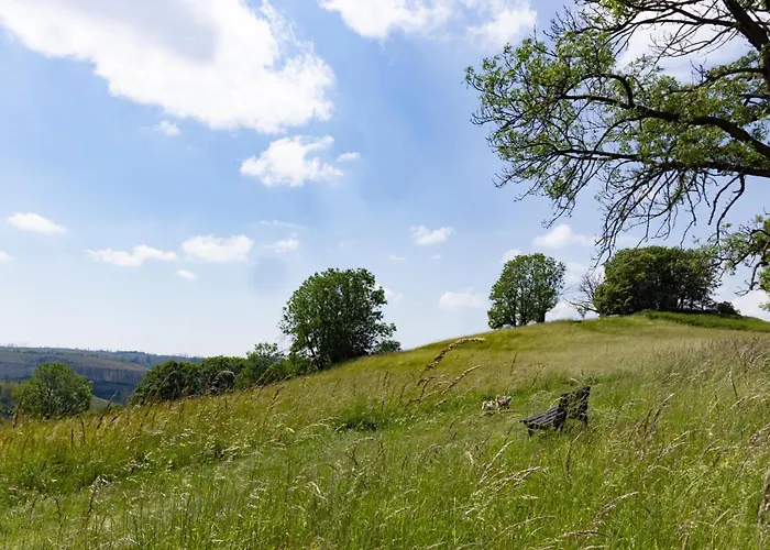 Harzer Leidenschaft Bis 2 Hunde Willkommen Lage Dtv 5 Sterne 3 Pfoten * 圣安德里斯伯格