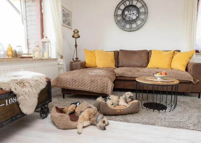 Harzer Leidenschaft Bis 2 Hunde Willkommen Lage Dtv 5 Sterne 3 Pfoten *