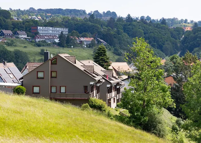 公寓 Harzer Leidenschaft Bis 2 Hunde Willkommen Lage Dtv 5 Sterne 3 Pfoten 圣安德里斯伯格