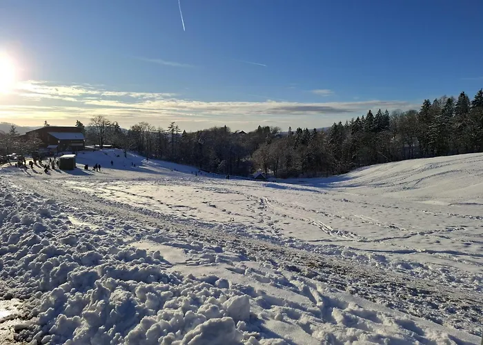 公寓 Harzer Leidenschaft Bis 2 Hunde Willkommen Lage Dtv 5 Sterne 3 Pfoten *