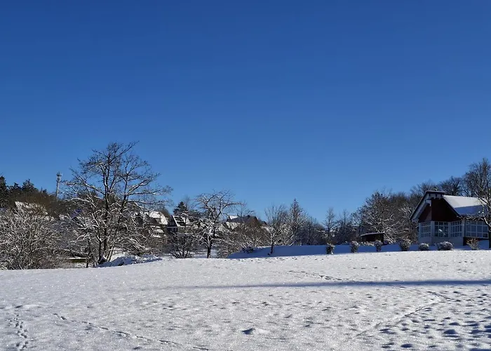 Harzer Leidenschaft Bis 2 Hunde Willkommen Lage Dtv 5 Sterne 3 Pfoten 公寓 圣安德里斯伯格