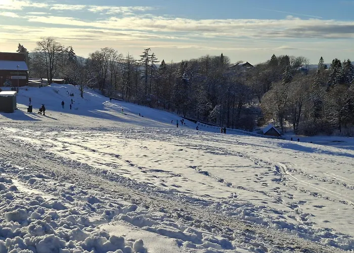 公寓 Harzer Leidenschaft Bis 2 Hunde Willkommen Lage Dtv 5 Sterne 3 Pfoten *