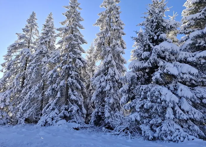 Harzer Leidenschaft Bis 2 Hunde Willkommen Lage Dtv 5 Sterne 3 Pfoten 公寓 *