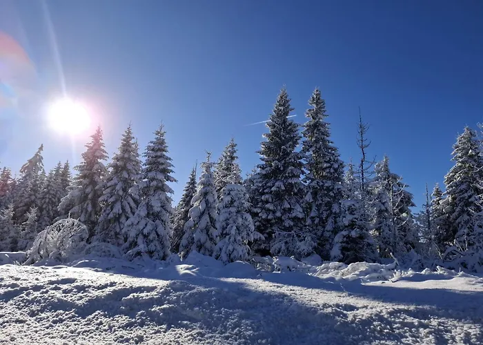 公寓 Harzer Leidenschaft Bis 2 Hunde Willkommen Lage Dtv 5 Sterne 3 Pfoten 圣安德里斯伯格