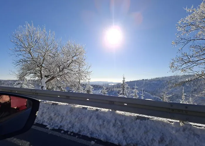 Harzer Leidenschaft Bis 2 Hunde Willkommen Lage Dtv 5 Sterne 3 Pfoten * 圣安德里斯伯格