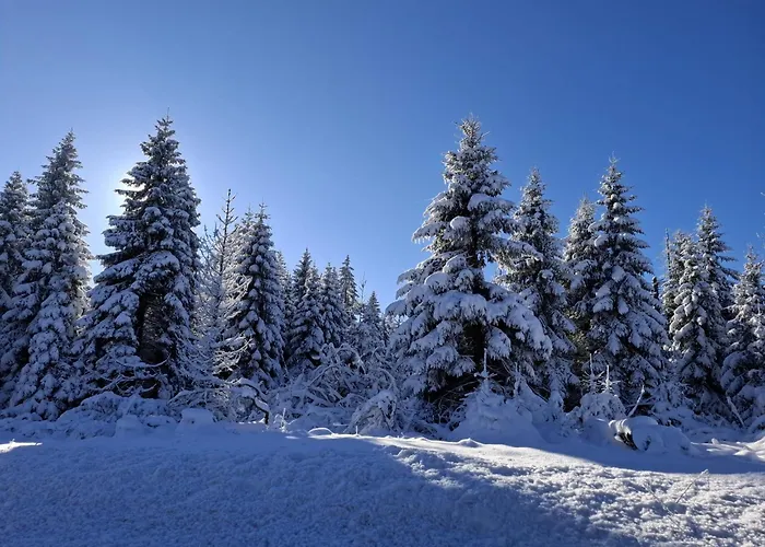 Harzer Leidenschaft Bis 2 Hunde Willkommen Lage Dtv 5 Sterne 3 Pfoten 公寓