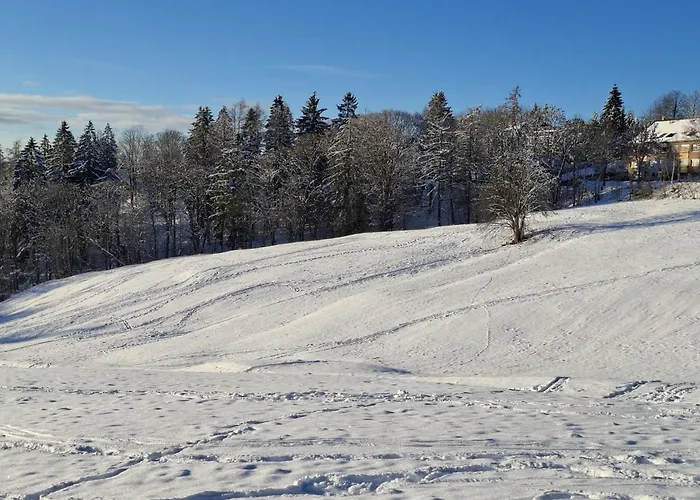 Harzer Leidenschaft Bis 2 Hunde Willkommen Lage Dtv 5 Sterne 3 Pfoten *