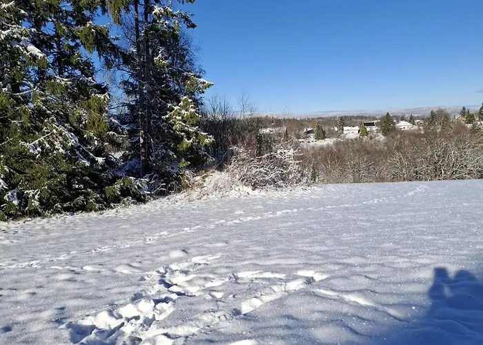 Harzer Leidenschaft Bis 2 Hunde Willkommen Lage Dtv 5 Sterne 3 Pfoten * 圣安德里斯伯格