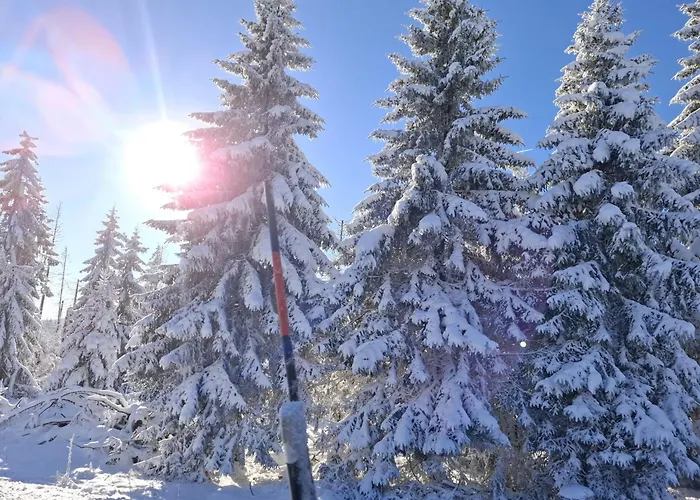 Harzer Leidenschaft Bis 2 Hunde Willkommen Lage Dtv 5 Sterne 3 Pfoten