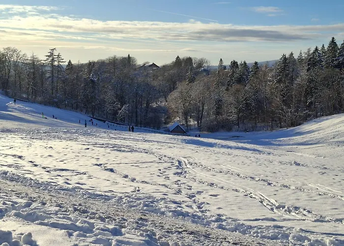 Harzer Leidenschaft Bis 2 Hunde Willkommen Lage Dtv 5 Sterne 3 Pfoten 公寓