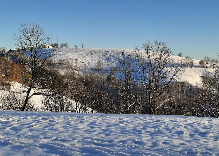 公寓 Harzer Leidenschaft Bis 2 Hunde Willkommen Lage Dtv 5 Sterne 3 Pfoten