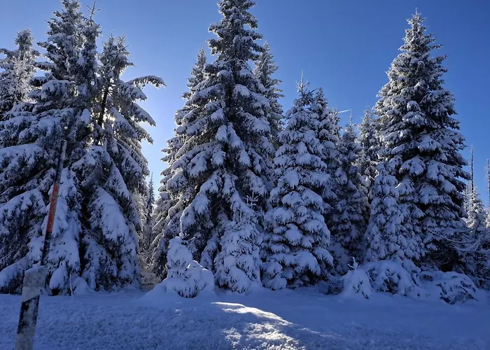 Harzer Leidenschaft Bis 2 Hunde Willkommen Lage Dtv 5 Sterne 3 Pfoten 公寓 *